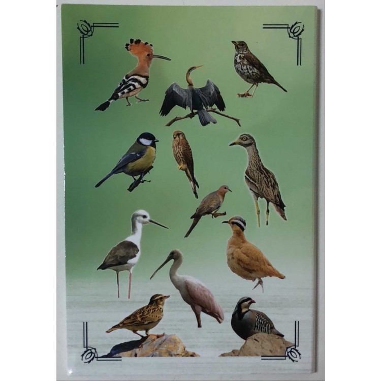 Darphane Hatıra Para,Gümüş Hatıra Para