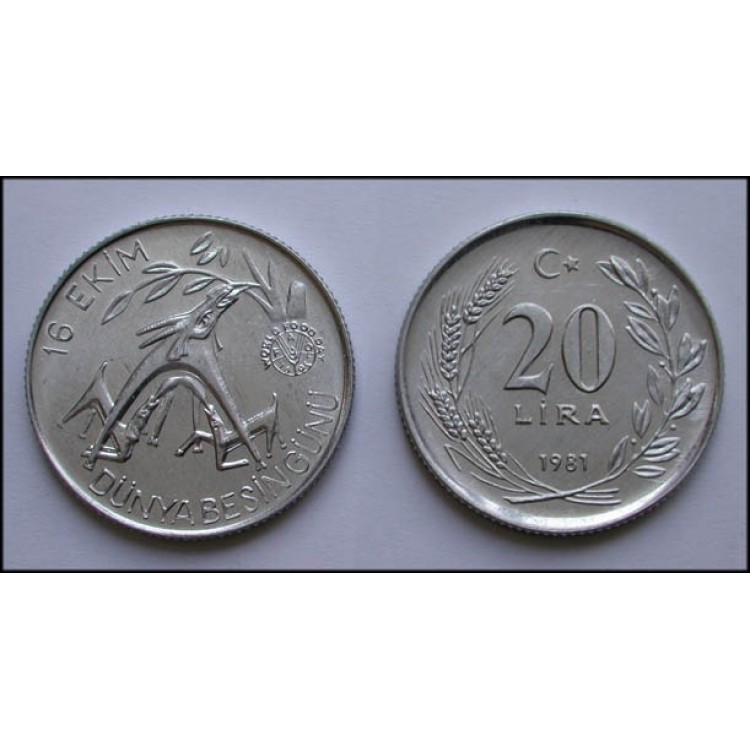 FAO 20 Lira 1981 Alüminyum Hatıra Para 'Dünya Besin Günü’ Çil