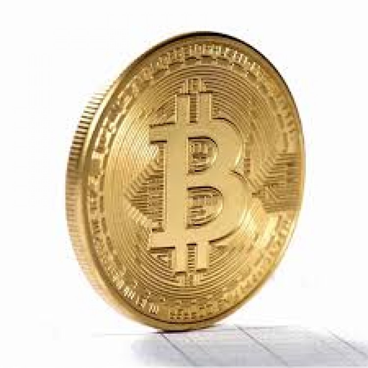 Bitcoin Altın Kaplama Madalyon 2013 PDC6