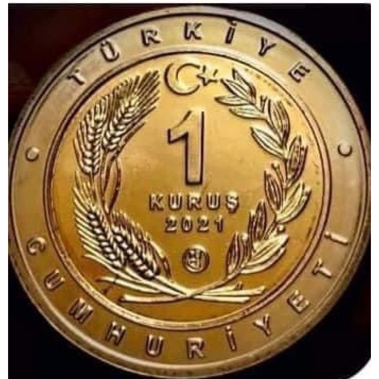 Karakulak Bimetal Hatıra Para Çil 2021