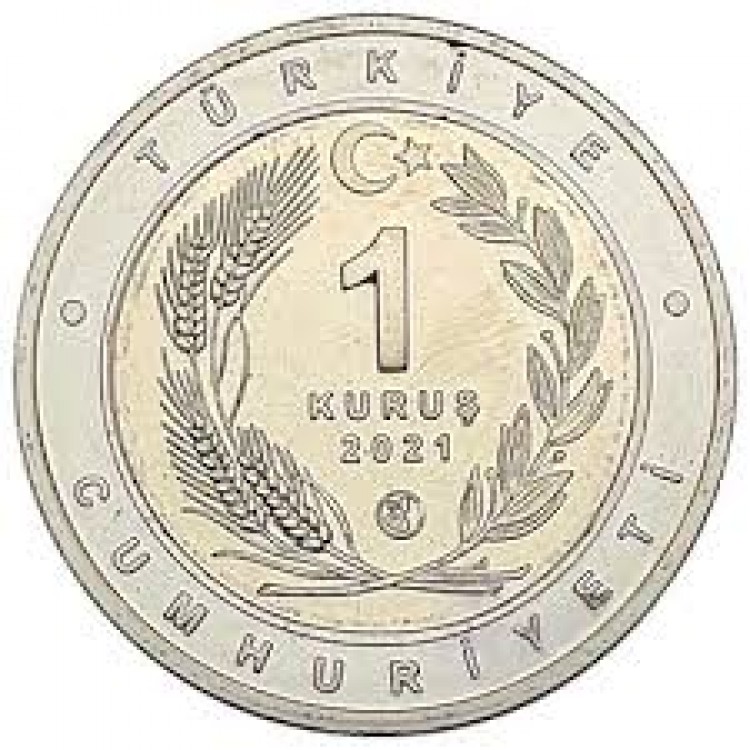 Tarsus Çatalburun Köpeği Bimetal Hatıra Para Çil 2021
