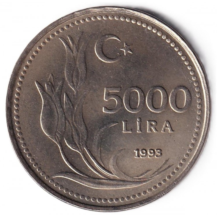 5.000 Lira 1993 Çil Eski Madeni Para Nikel Kenar Yazısı Ters