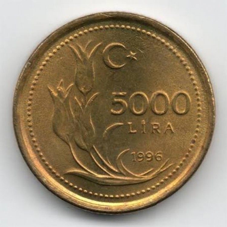 5.000 Lira 1996 Çil Eski Madeni Para Pirinç 