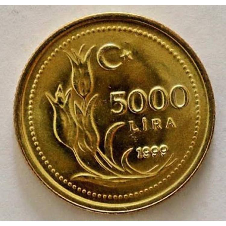 5.000 Lira 1999 Çil Eski Madeni Para Pirinç 